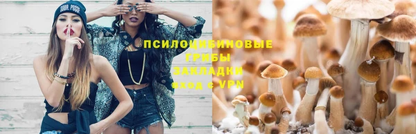 соль ск Ладушкин