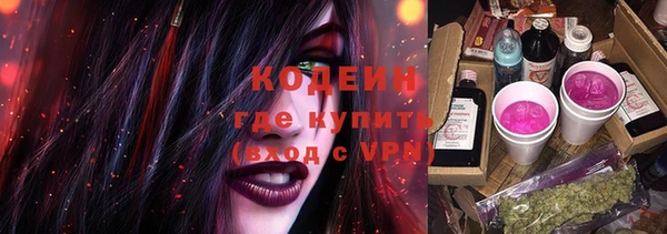 соль ск Ладушкин