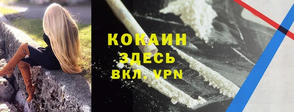 соль ск Ладушкин