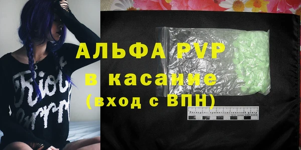 индика Липки