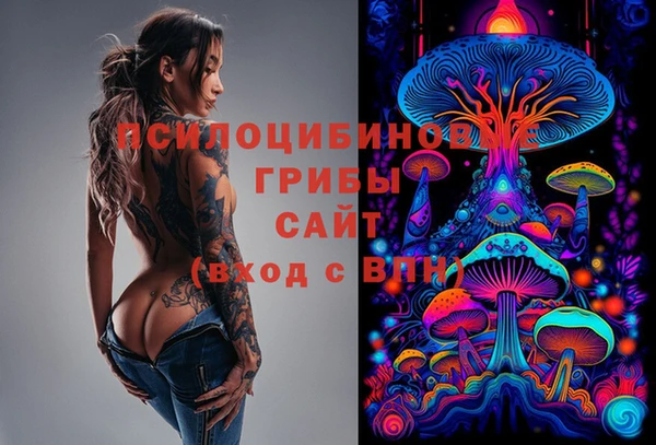 крисы Лабытнанги