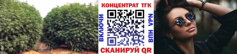 Дистиллят ТГК концентрат  Купить закладки  Снежногорск 