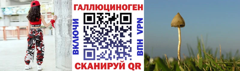 Купить  Снежногорск  Галлюциногенные грибы мухоморы 